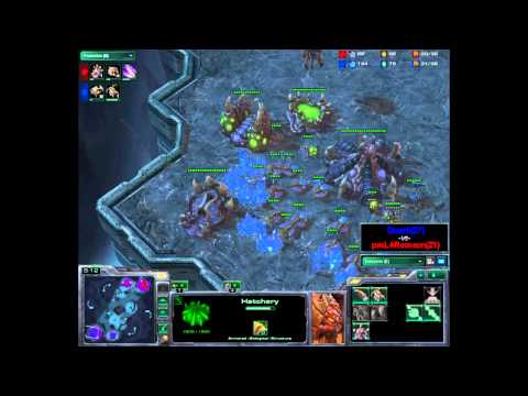 Starcraft 2 pmLǂRomson(Z) vs Quark(Z) Commentary (Game 1 Part 1)