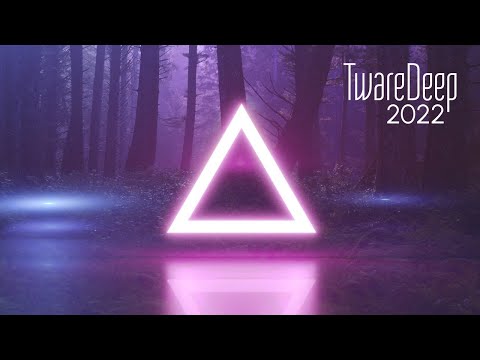 TwareDeep 2022 / Ben Böhmer/Tinlicker/Yotto/Maurits Colijn/Lie Alone/São Miguel & Sebastian Reynoso