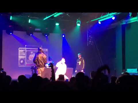 DEBBIT vs DRIMER - TPO BOLOGNA