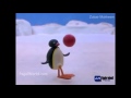 Penguins hydrabadi Hindi Funny Video