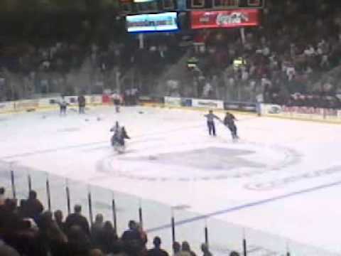 Everblades/gladiators golie fight