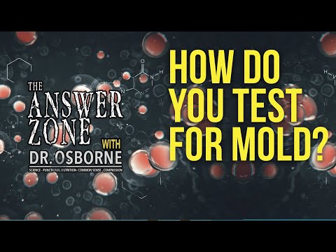 YouTube video about Discover Mold on Soil: Tips to Identify It