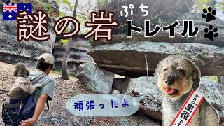 【🇦🇺 QLD 謎の岩トレイル】らぶちゃんと行ってきた！