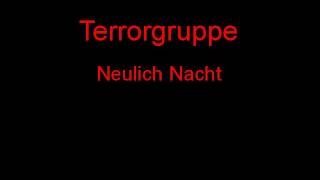 Terrorgruppe Neulich Nacht + Lyrics