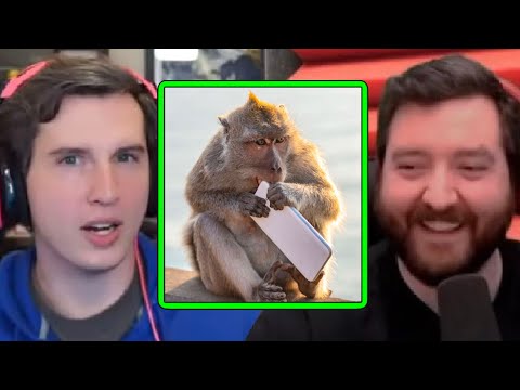 Gangs of Monkeys ROBBING People in Public | PKA