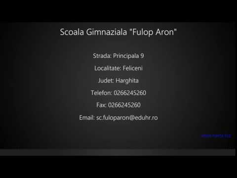 Scoala Gimnaziala "Fulop Aron" Feliceni