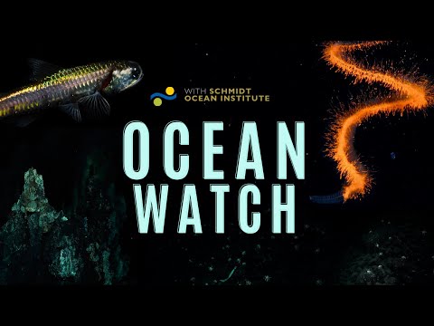 Ocean Watch | A Tale of Deep Sea Exploration