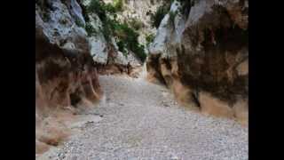 Miguel Ríos 'Cantares' (Caminante, no hay camino, se hace camino al andar...)
