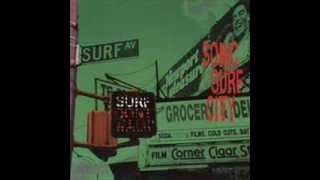 Sonic Surf City - Surfin' Bird