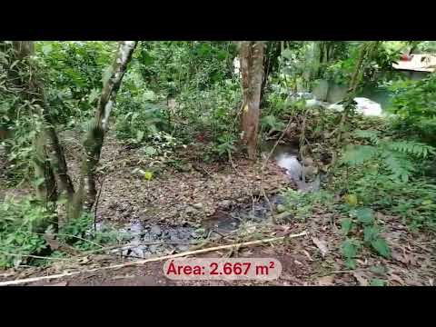 Propiedad en venta en San Mateo, Alajuela (AREA; 2.667 m²)