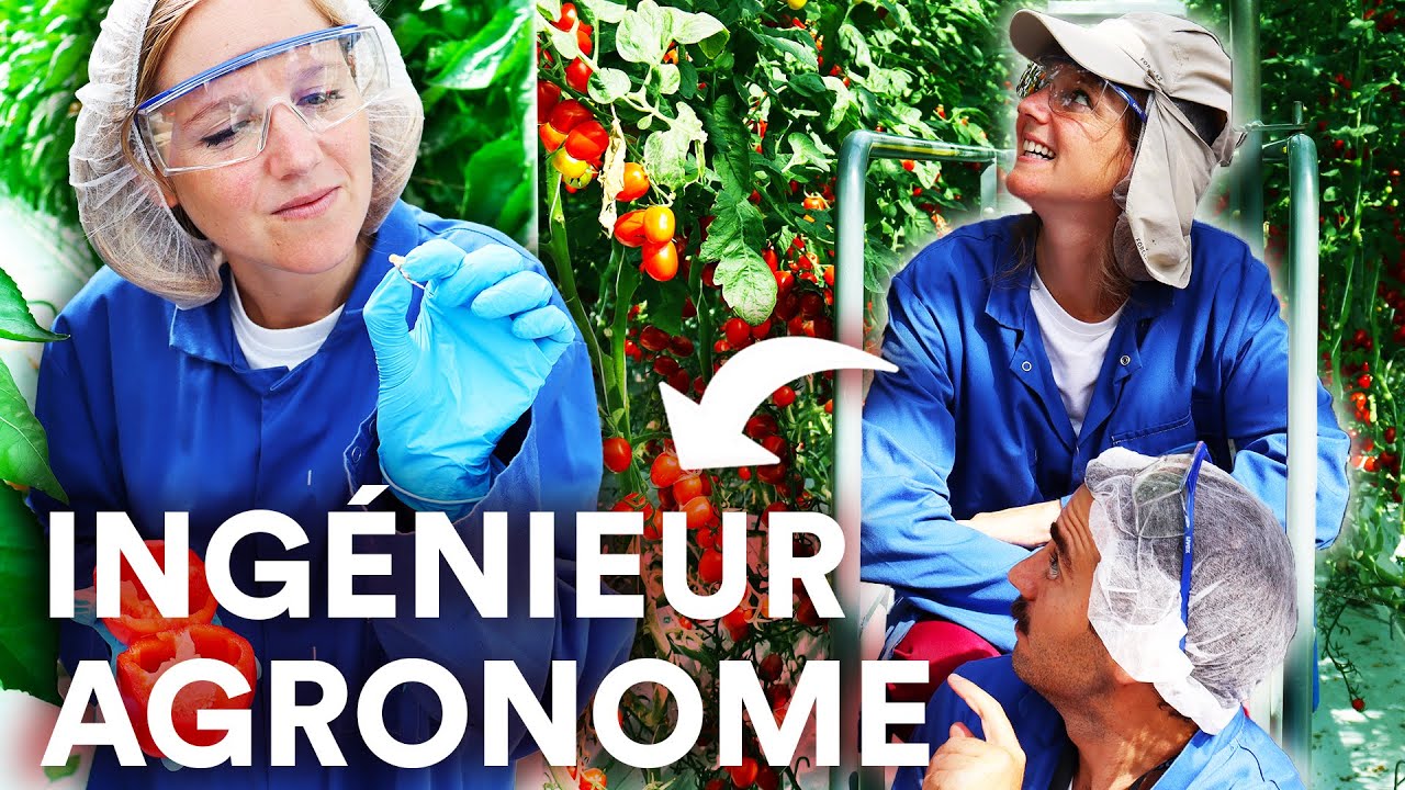 Travailler dans l'AGRICULTURE : le métier d’ingénieur agronome, formation salaire, emploi