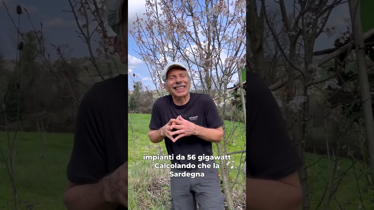 GIOVANNI STORTI. POCHE PAROLE. IDEE CHIARE SULLE PALLE EOLICHE...