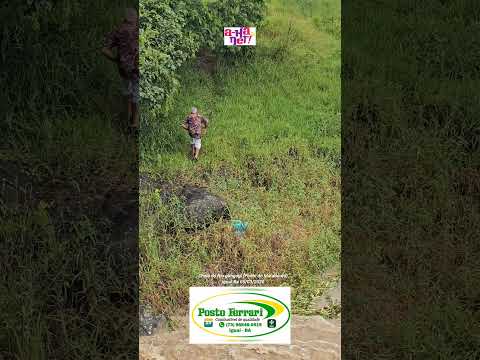 Cheia do Rio gongogi (Ponte do matadouro) em Iguaí-Ba