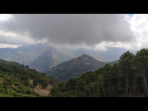 IL SEGRETO PER VIVERE IL PRESENTE