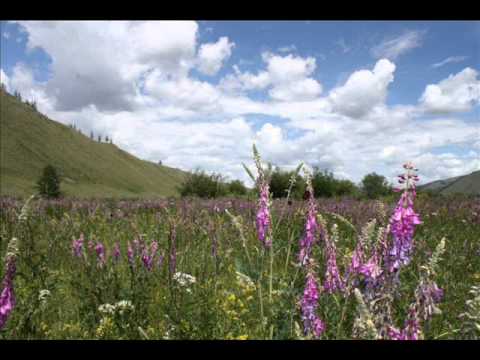 Adarsuren - Muruudliin duu (Адарсүрэн - Мөрөөдлийн дуу)