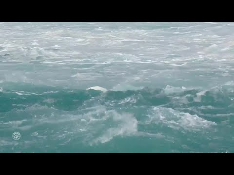 Vans World Cup, Men's Qualifying Series - Round 4 heat 7