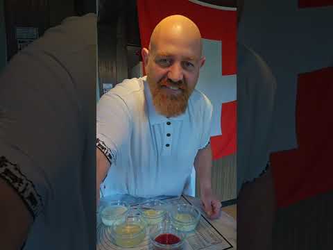 Glarner Rindsgeschnetzeltes