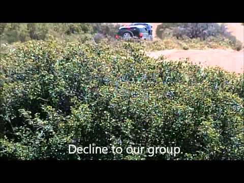 FJ_Offroading.wmv