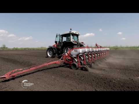 DEKALB hibridi kukuruza u Banatu, Nikola Gostovic - U nasem ataru 676