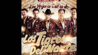 Historia De Amor - Los Tigres Del Norte (sergius tjbcmx)