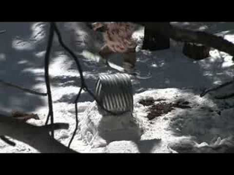 JUST BECAUSE Trailer by S-Cut Production