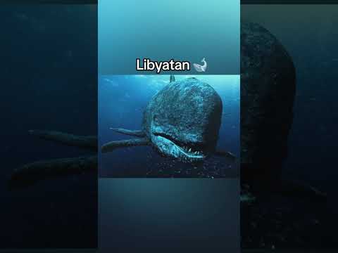 Extinct animals caught on camera 😳🌎