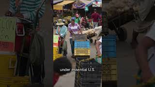 US lifts sanctions on interim Venezuelan leader Delcy Rodriguez