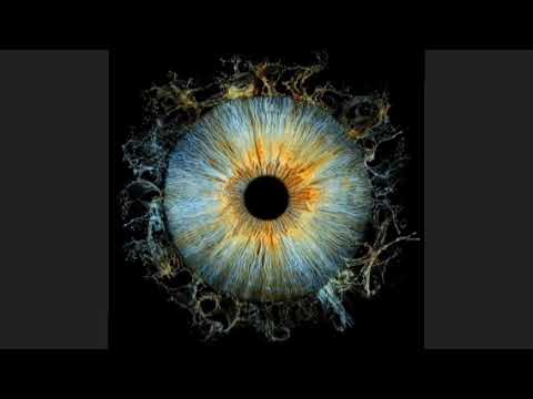 Seven Kayne, Bankrol Hayden, Einer Bankz - shawty | buscando la luz deluxe (audio)