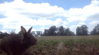 Devin Townsend - Earth Day