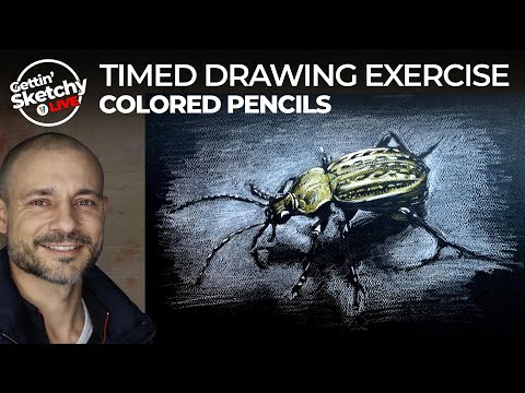 Drawing a Bug with Colored Pencils in 45 Minutes - Gettin' Sketchy LIVE