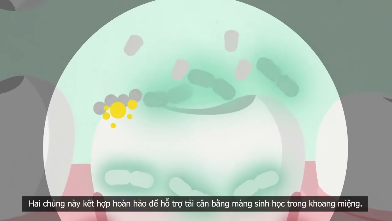 Video giới thiệu sản phẩm