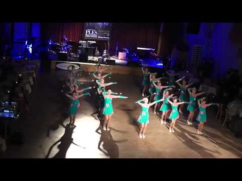 15.1.16 Ples Rádia Kroměříž - mini LEXY