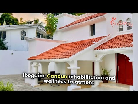Logo of Ibogaine Cancun: Your Oasis for Wellness and Addiction Recovery in Paradise
