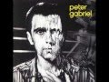 Peter Gabriel - FAMILY SNAPSHOT (Melt)
