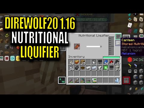 Minecraft Direwolf20 Modpack 1.16 Ep 16 - Nutritional Liquifier