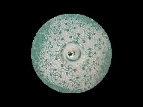 Dj Cyclone - 909 Trax (Acid fever records MDMA 9612) 1996. A1: Trak 101.