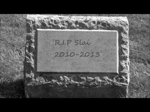 Sconzyke - Slai die Vierte [SLAI DISS]