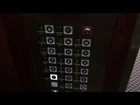 AWESOME Pacific Traction Elevators - San Francisco, CA.