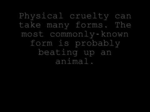 Signs of Animal Cruelty