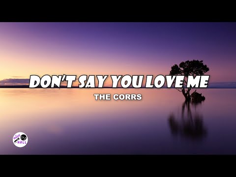 Don't Say You Love Me | The Corrs (Lyrics)