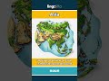 Asia - the biggest continent on Ea... video thumbnail
