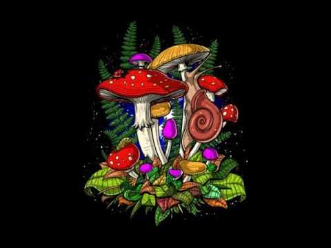 Spyge aka Spuge H - Dupp