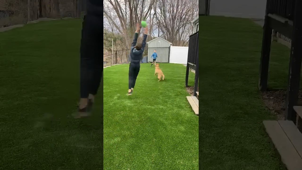 Custom Artificial Turf Putting Green Showcase