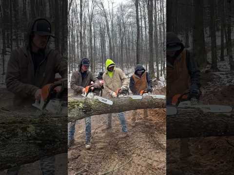 Stihl 500i vs Stihl 400c vs Stihl 291 #stihl #chainsawman #chainsaw #cuttingwood #madeingermany