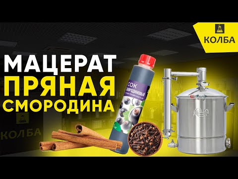 Blackcurrant macerate with cinnamon and cloves on Wein 7