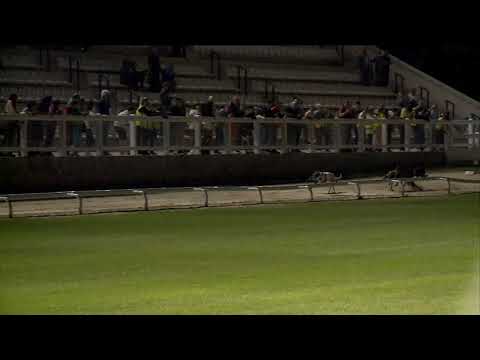 2020.07.24. 03. futam - Mega Delight Díj A1/A2