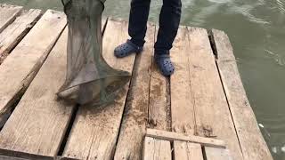 Отчет о рыбалке пруд фишка петряиха