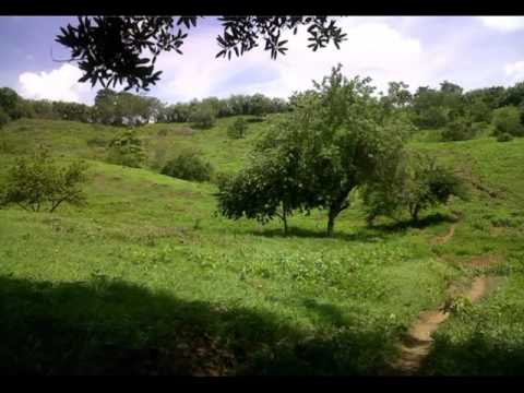 Maria de las mercedes -  Banda 19 de marzo de Laguneta