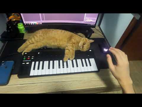 Mac DeMarco - For the First Time // Synth Cover