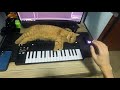 Mac DeMarco For The First Time Synth Cover
